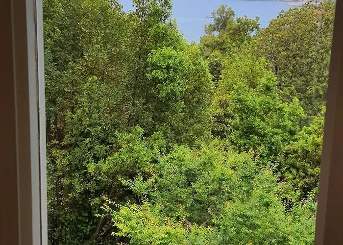 Private Parking, Terrace, Quite Near The Sea *